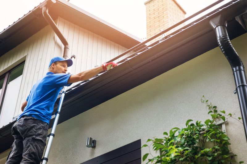 Residential Gutter Cleaning Process