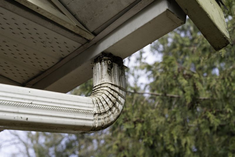 Downspout Maintenance