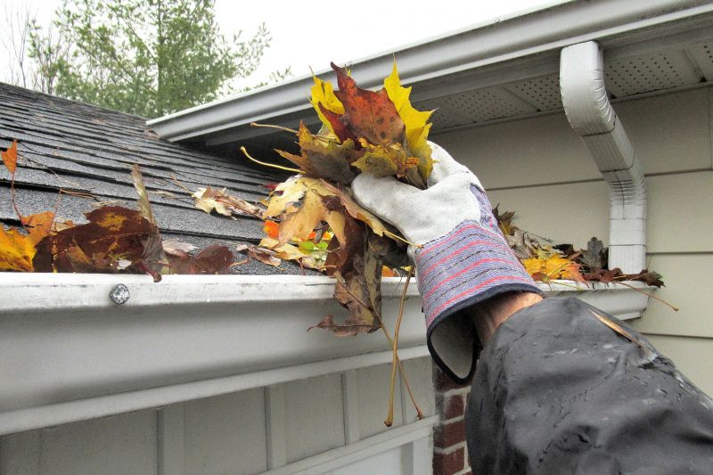 Seasonal Gutter Services